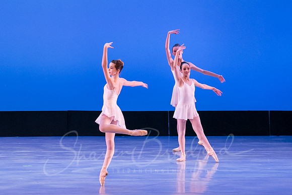 Concert 8 pc Sharen Bradford-0045