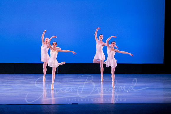 Concert 8 pc Sharen Bradford-0062