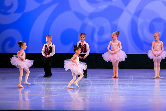 Ballet is Fun pc Sharen Bradford-0399