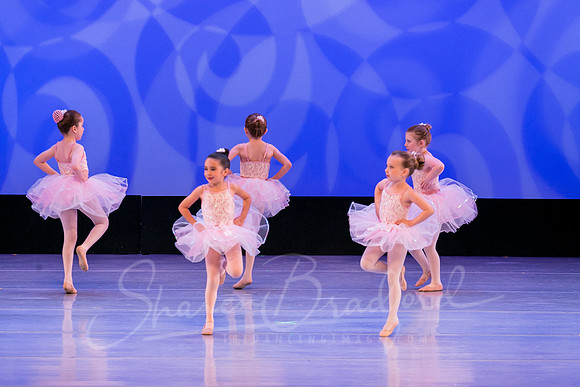 Ballet is Fun pc Sharen Bradford-0411
