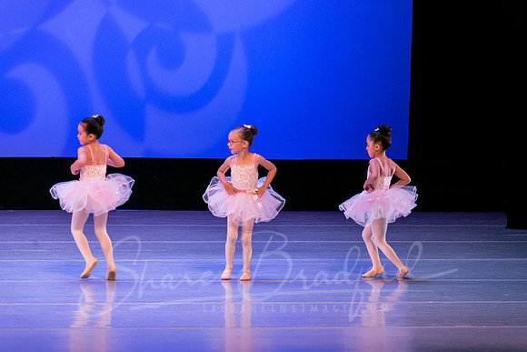 Ballet is Fun pc Sharen Bradford-0414