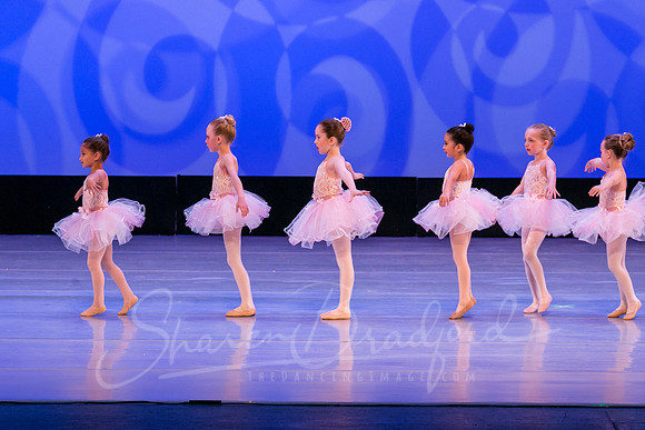 Ballet is Fun pc Sharen Bradford-0428