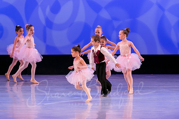 Ballet is Fun pc Sharen Bradford-0434