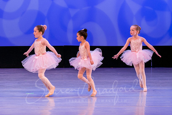 Ballet is Fun pc Sharen Bradford-0438