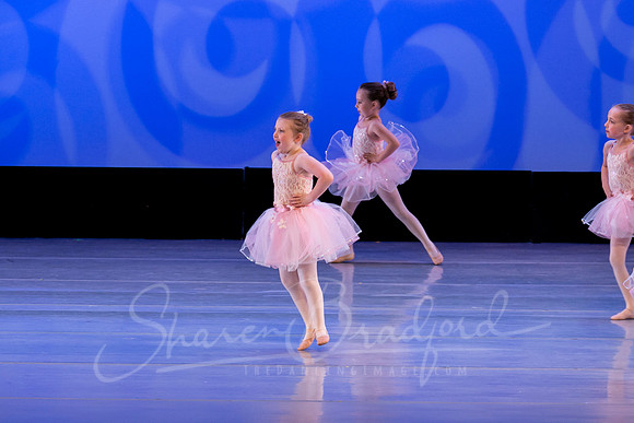 Ballet is Fun pc Sharen Bradford-0453