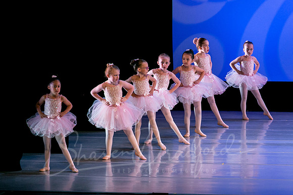 Ballet is Fun pc Sharen Bradford-0460