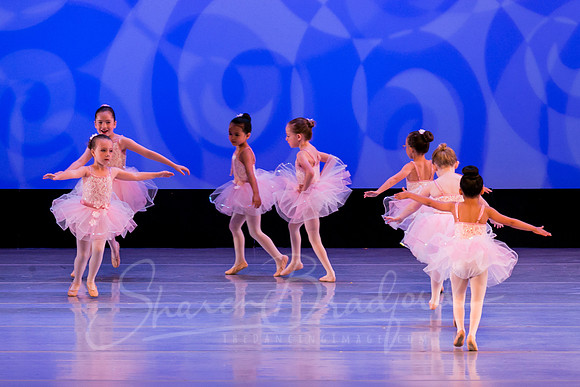 Ballet is Fun pc Sharen Bradford-0494