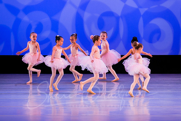 Ballet is Fun pc Sharen Bradford-0502