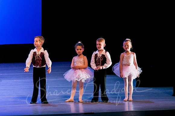 Ballet is Fun pc Sharen Bradford-0509