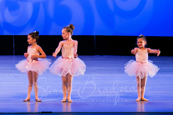 Ballet is Fun pc Sharen Bradford-0511