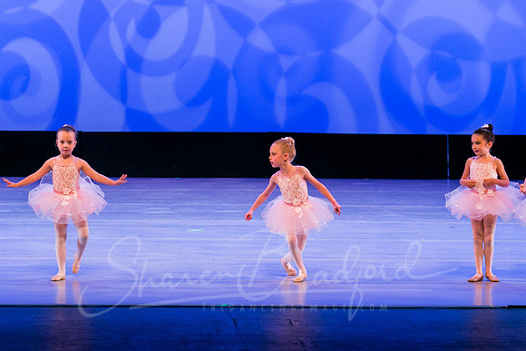Ballet is Fun pc Sharen Bradford-0513