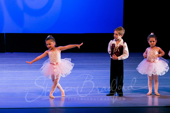 Ballet is Fun pc Sharen Bradford-0516