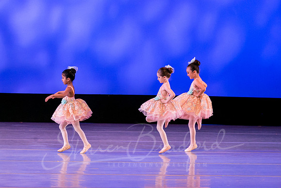Music Box Ballerinas pc Sharen Bradford-0607