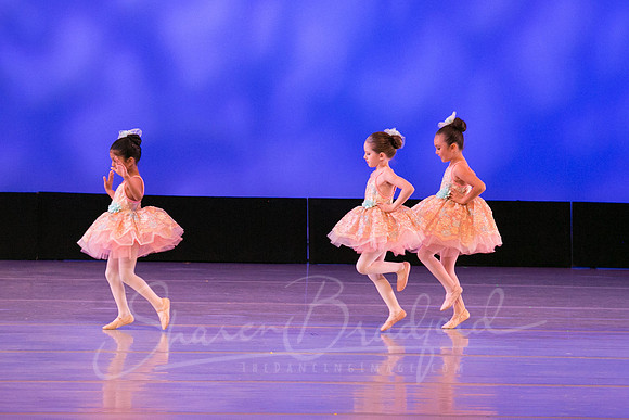Music Box Ballerinas pc Sharen Bradford-0608