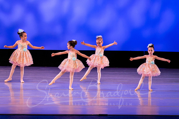 Music Box Ballerinas pc Sharen Bradford-0619