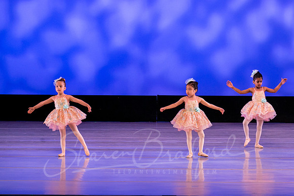 Music Box Ballerinas pc Sharen Bradford-0621