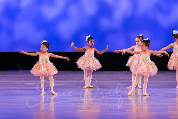 Music Box Ballerinas pc Sharen Bradford-0623