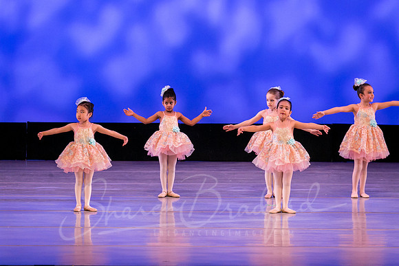 Music Box Ballerinas pc Sharen Bradford-0624