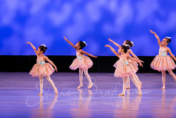 Music Box Ballerinas pc Sharen Bradford-0626