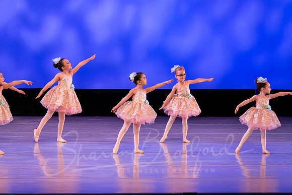 Music Box Ballerinas pc Sharen Bradford-0629