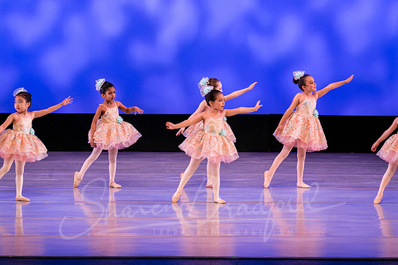 Music Box Ballerinas pc Sharen Bradford-0632