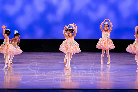 Music Box Ballerinas pc Sharen Bradford-0633