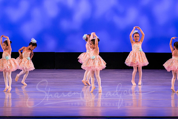 Music Box Ballerinas pc Sharen Bradford-0634