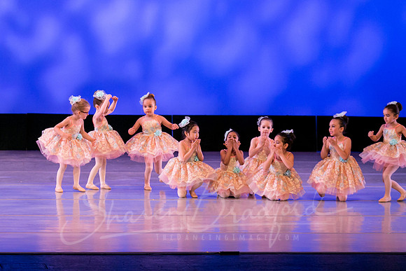 Music Box Ballerinas pc Sharen Bradford-0663