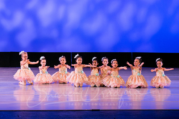 Music Box Ballerinas pc Sharen Bradford-0664