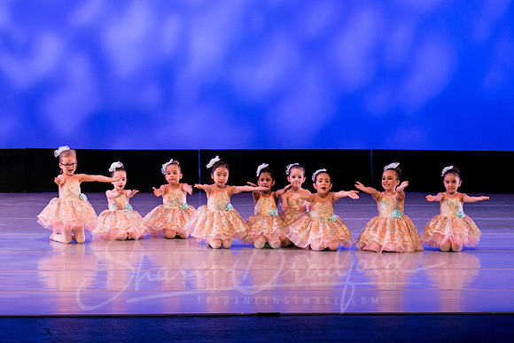 Music Box Ballerinas pc Sharen Bradford-0665