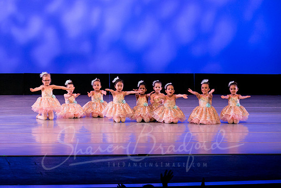 Music Box Ballerinas pc Sharen Bradford-0666