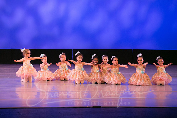 Music Box Ballerinas pc Sharen Bradford-0667