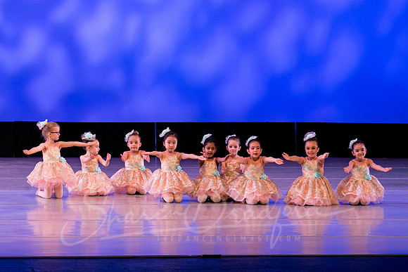 Music Box Ballerinas pc Sharen Bradford-0668