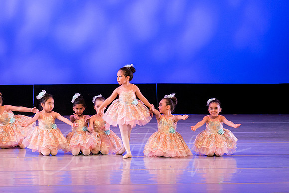 Music Box Ballerinas pc Sharen Bradford-0673