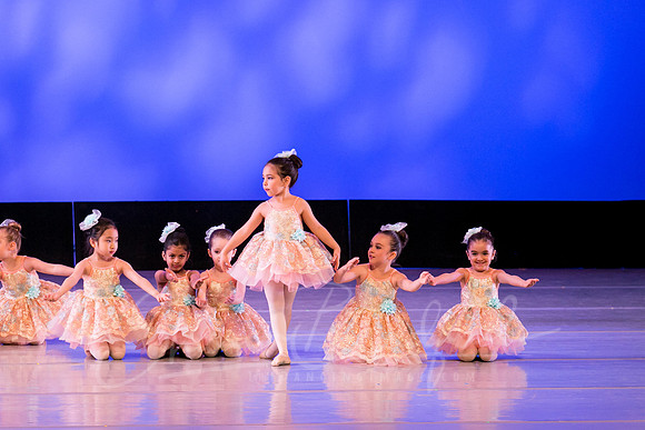 Music Box Ballerinas pc Sharen Bradford-0674