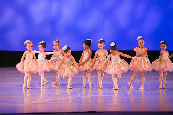 Music Box Ballerinas pc Sharen Bradford-0676