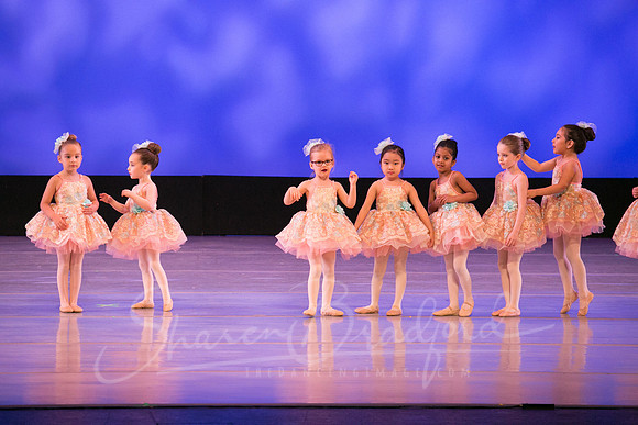 Music Box Ballerinas pc Sharen Bradford-0683