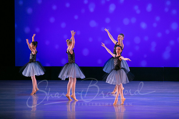 Evening Dances Ballerinas pc Sharen Bradford-0693