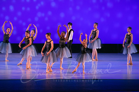 Evening Dances Ballerinas pc Sharen Bradford-0707