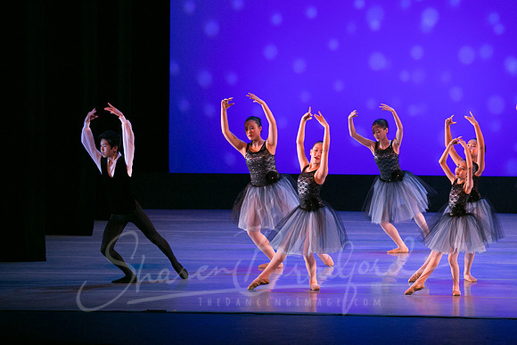 Evening Dances Ballerinas pc Sharen Bradford-0716