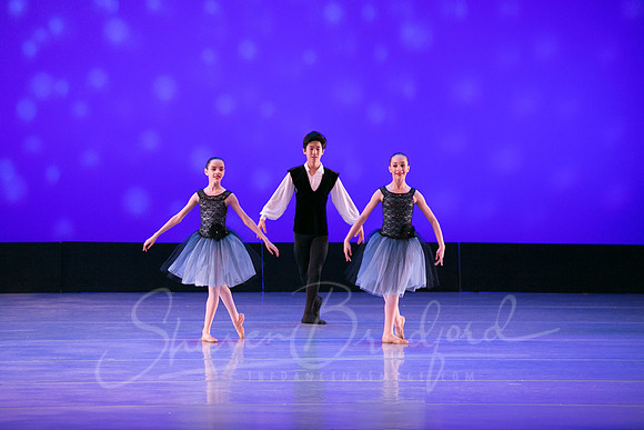 Evening Dances Ballerinas pc Sharen Bradford-0726