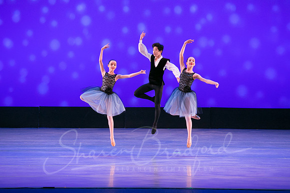Evening Dances Ballerinas pc Sharen Bradford-0728