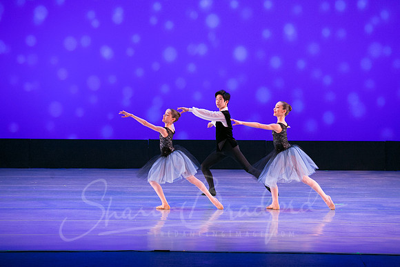 Evening Dances Ballerinas pc Sharen Bradford-0729