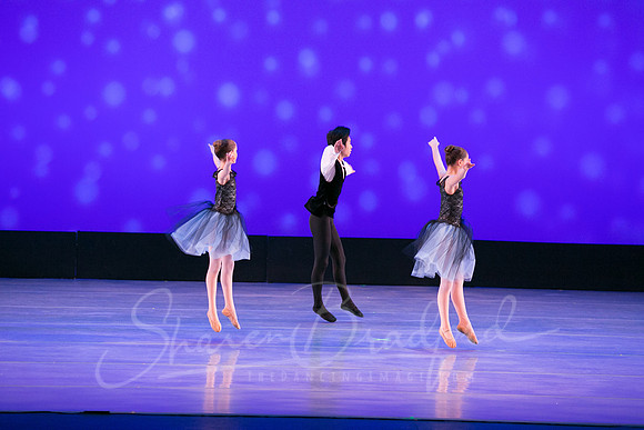 Evening Dances Ballerinas pc Sharen Bradford-0730
