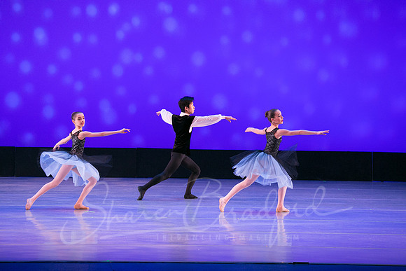 Evening Dances Ballerinas pc Sharen Bradford-0734