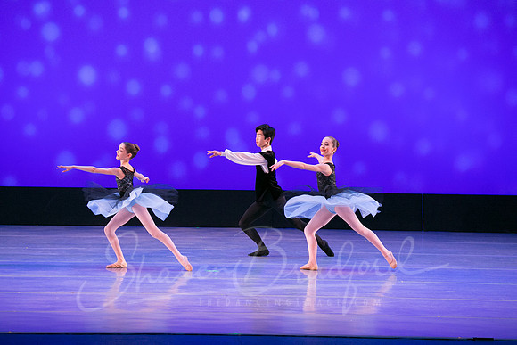 Evening Dances Ballerinas pc Sharen Bradford-0735