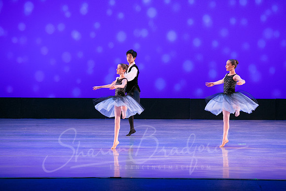 Evening Dances Ballerinas pc Sharen Bradford-0739