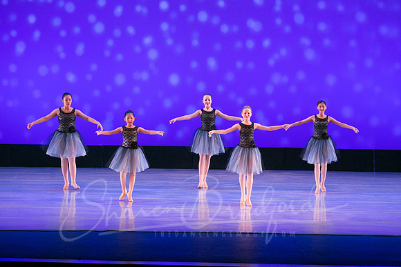 Evening Dances Ballerinas pc Sharen Bradford-0741