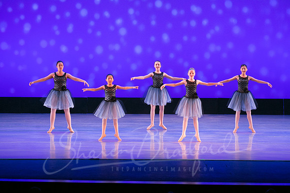 Evening Dances Ballerinas pc Sharen Bradford-0742