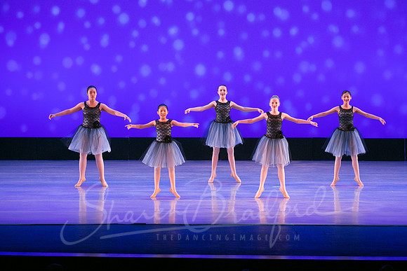 Evening Dances Ballerinas pc Sharen Bradford-0743